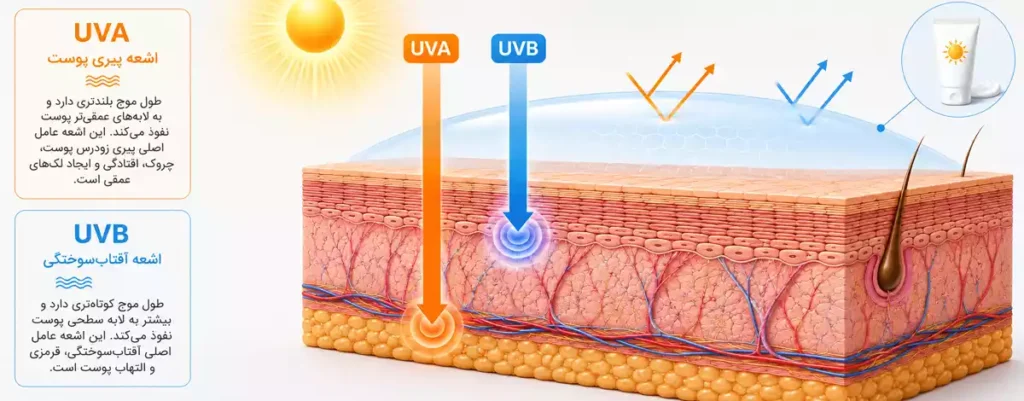 اشعه UVA و UVB