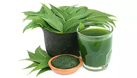 title% شپش شپش، 8 راهکار درمان فوری خانگی و غیر خانگی شپش