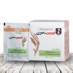 ساشه پی برن طعم نعنا دینه - تصویر 2