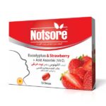 آبنبات سرد مکیدنی اکالیپتوس توت فرنگی ناتسور - تصویر 2